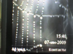 Web