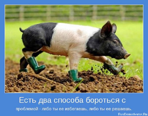 Есть 2 способа...