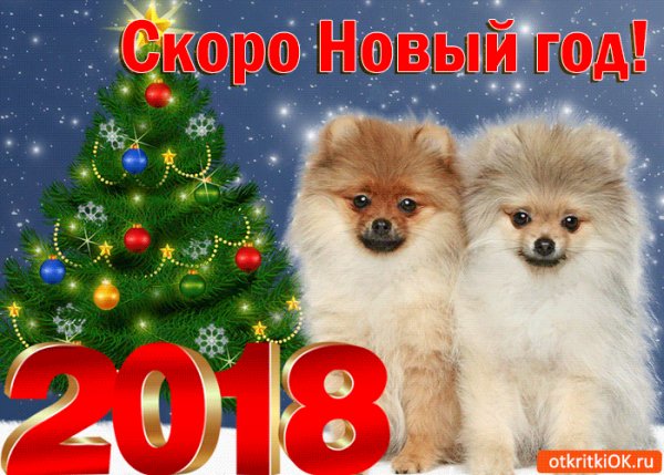 Скоро новый год!