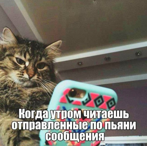 file_101237912