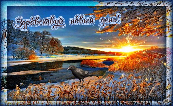 file_76462417