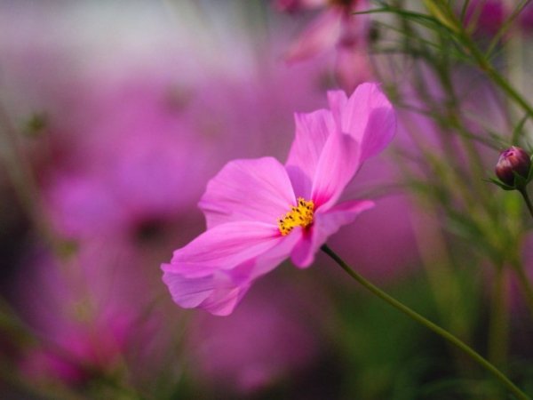 file_77624480