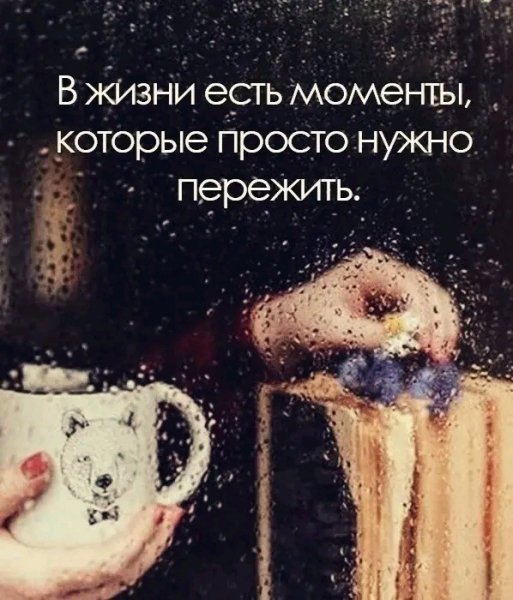 file_95952604