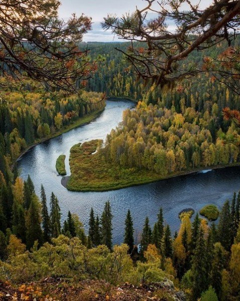 file_94756645