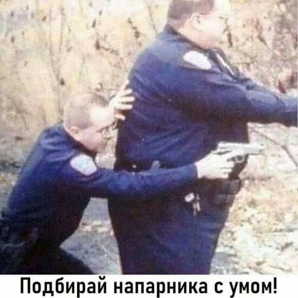 Правильный напарник