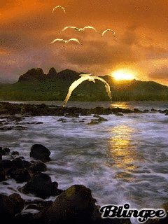 file_60793275