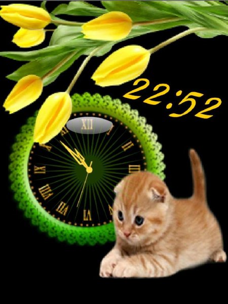 Котик