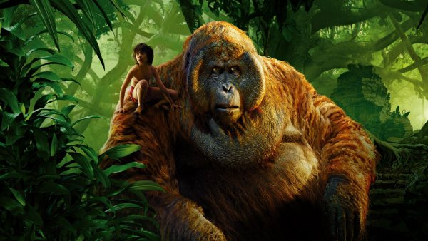 the-jungle-book-movie-2016-4k
