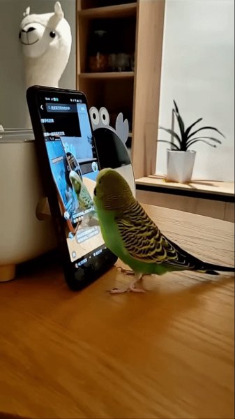 Умный Попугай