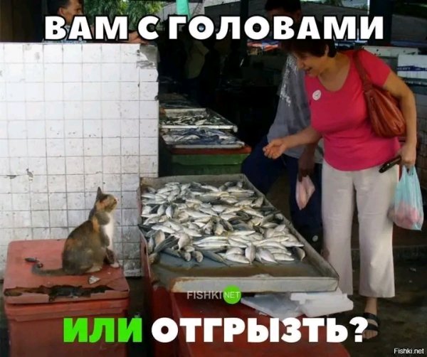 file_103195797
