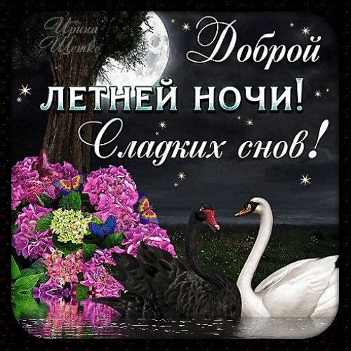 Анимированная открытка доброй летней