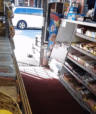 bbffc728f3546700991ffe3794768e4df79396621aa89d2a5563f695e5447