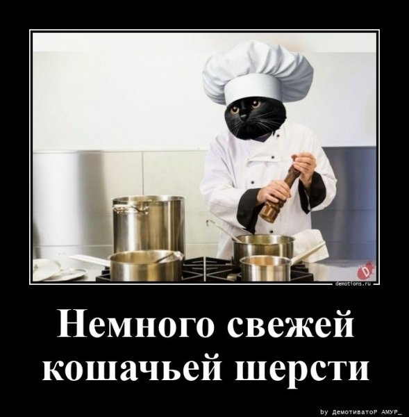 Кот повар
