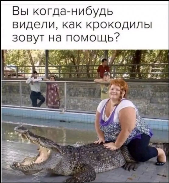 file_103195830
