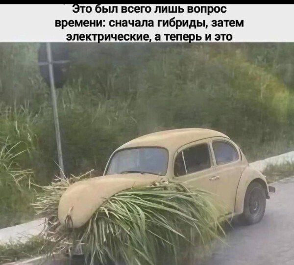 file_102290850