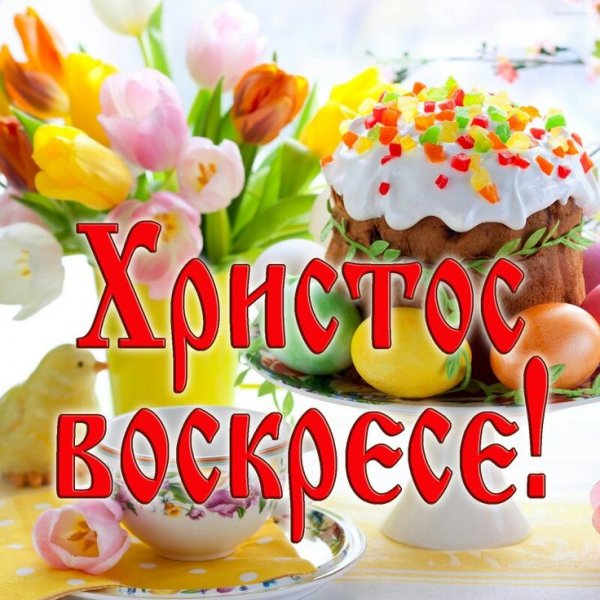 file_84186447
