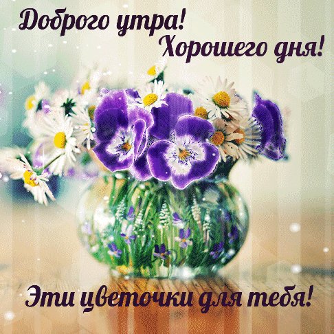 Доброе утро