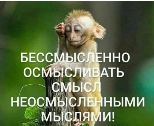 FB IMG 1773086502467