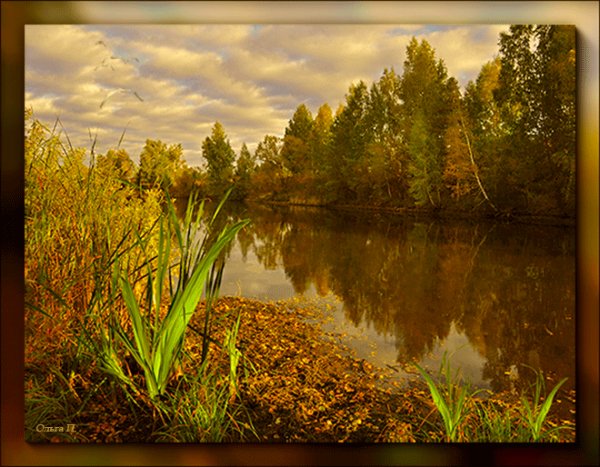 file_75182275