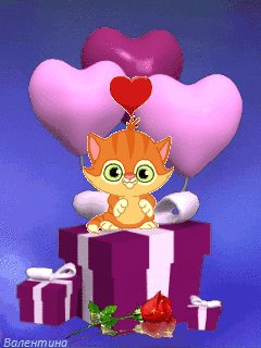 file_55011637
