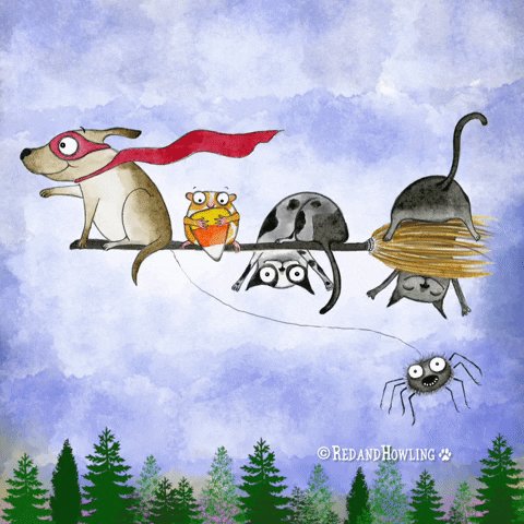 A910f6d31a346a319db24dfd8c0a4e42