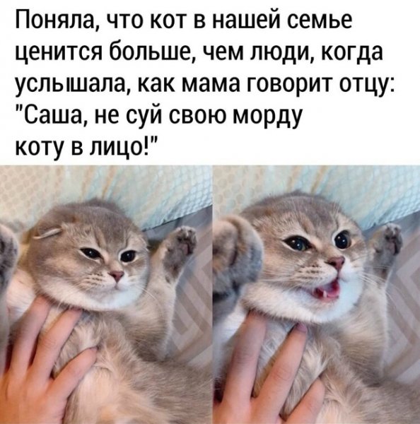 file_101792170