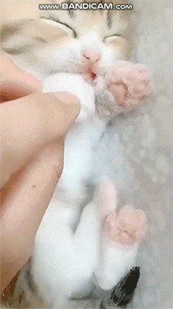 )