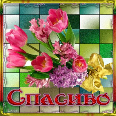 9c68d84e8203361cb626b5000d70139d