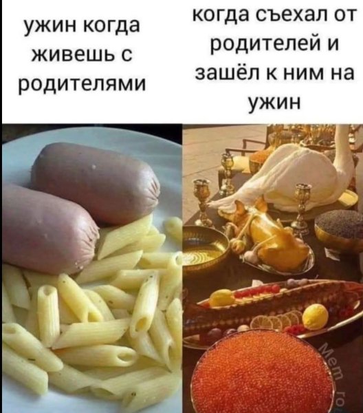 FB IMG 1778007531094