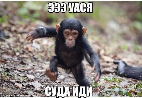 file_56136568