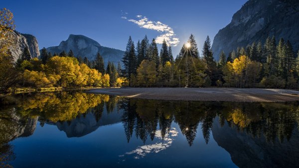 file_82979869