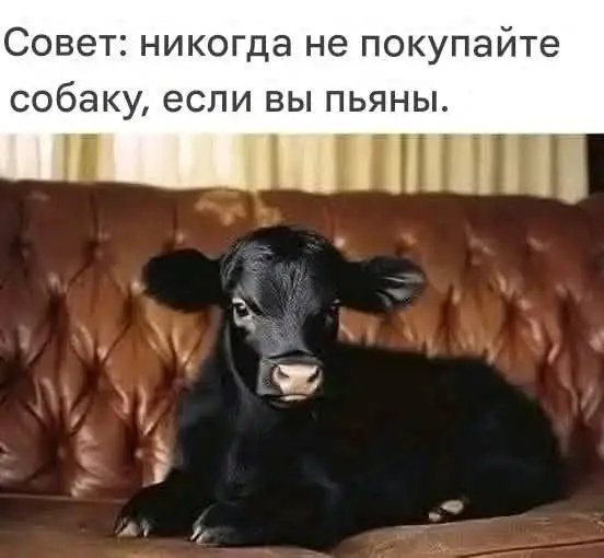 file_100879683