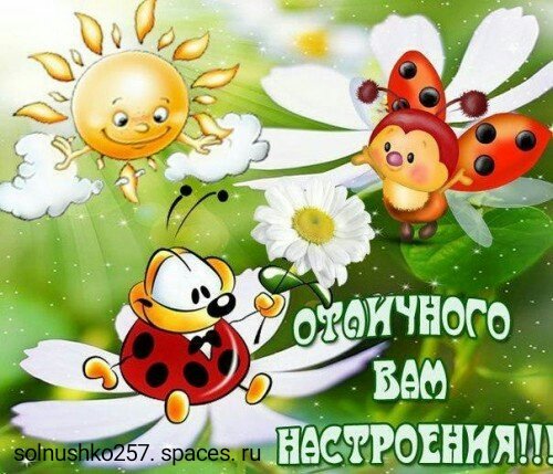 IMG 20180630 163829