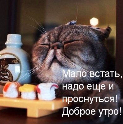 IMG 20181129 195719
