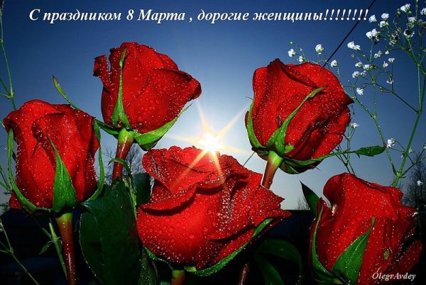 image (50)