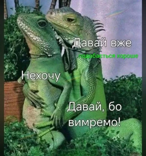 FB IMG 1778703580155