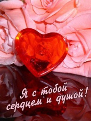file_52887101