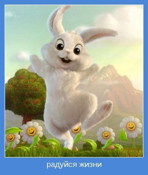 Радуйся жизни...