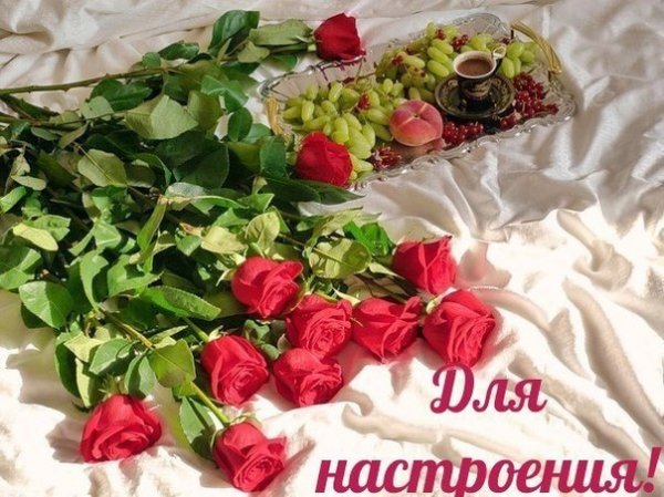 d00mxw2lERY