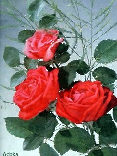 file_59346672