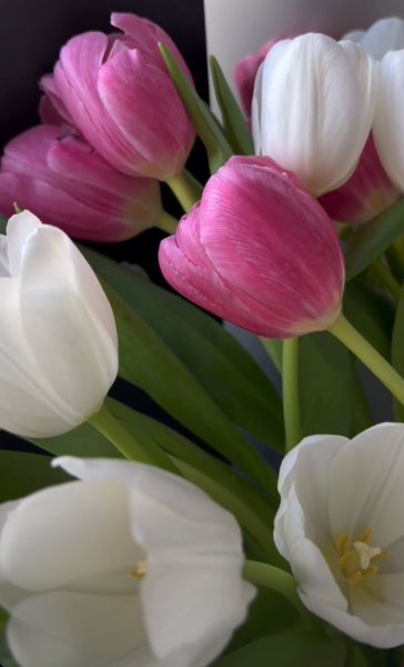 Screenshot 20260305-225500