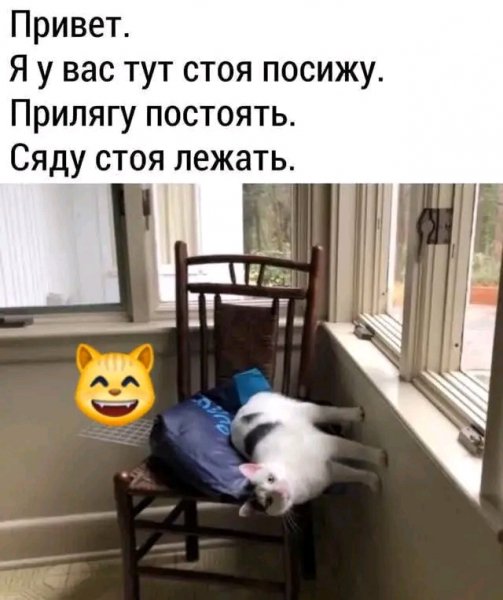 file_103266898