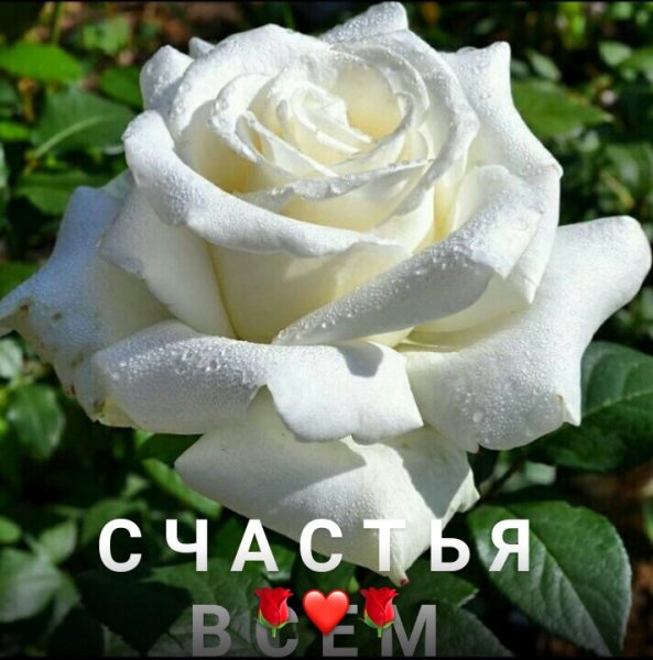 QBATHj-78dM