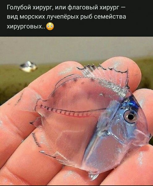 file_85095663