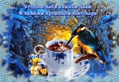 Зимний чай