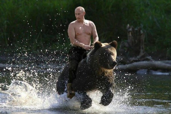 Путин верхом на медведе