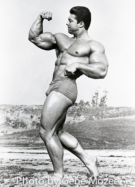 Larry-Scott-Gene019