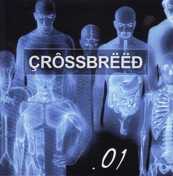 Crossbreed - Push