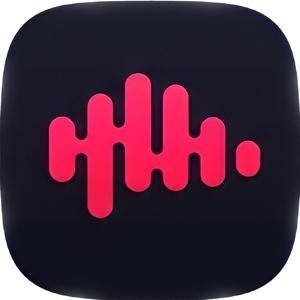Momo+Player-Premium-1.5