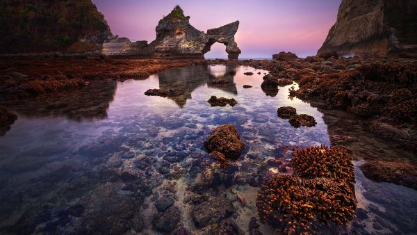 B48 wl nusapenidarocksindonesia alamy-2a8j8y9 1920x1080